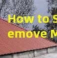 How to Safely Remove Moss and Algae from Your Roof